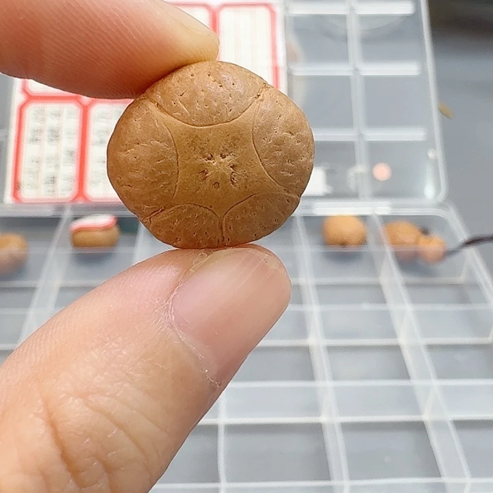 雨***凤眼菩提吊坠19mm五星85@2597