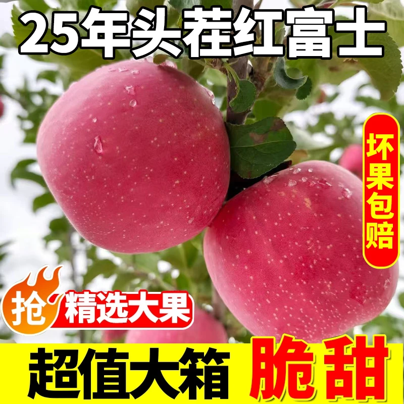 正宗云南昭通丑苹果红富士脆甜多汁新鲜现摘果园直发