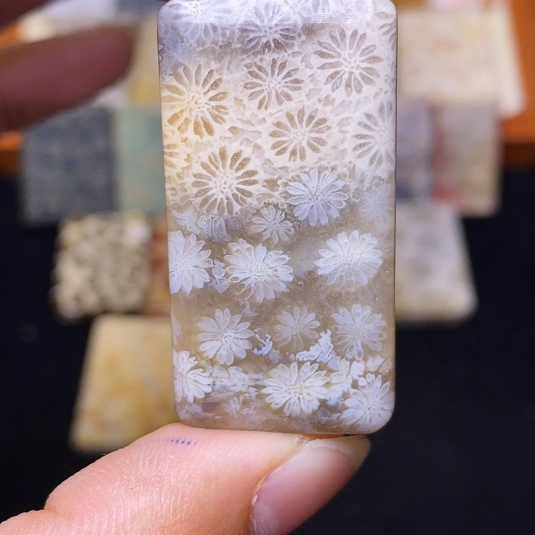 雪***愿硅化玉合金珊瑚玉