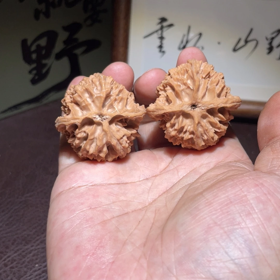 蔡***绅文玩核桃无药苹果