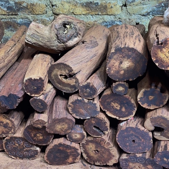 手串/手链降真香定制缅甸小叶降真香