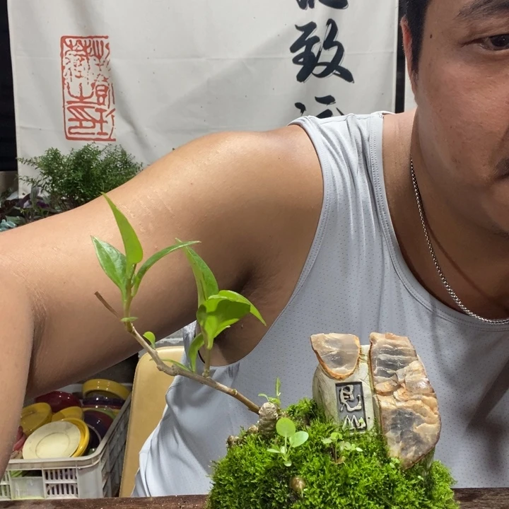 花****…一物一拍所见即所得197铜钱草根系