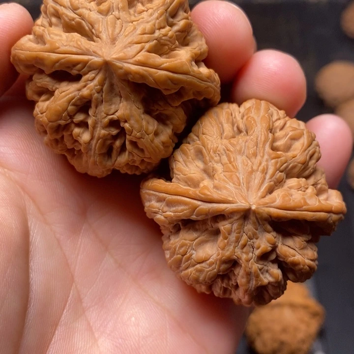 文玩核桃43大粗筋