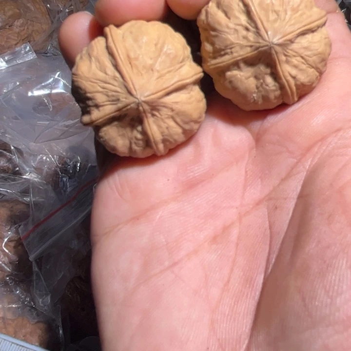 吊坠文玩核桃滇西111