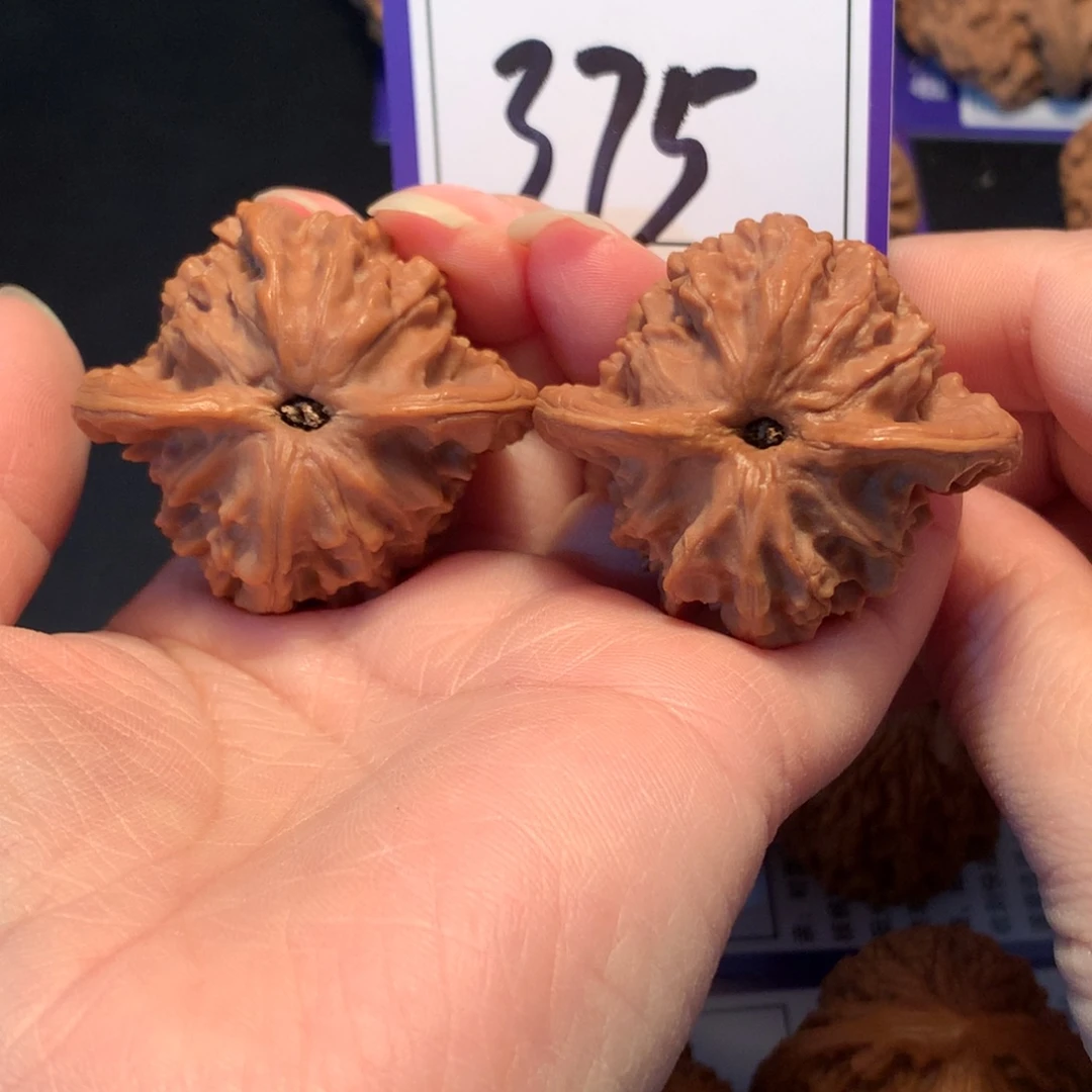 核桃375图图4.3全品