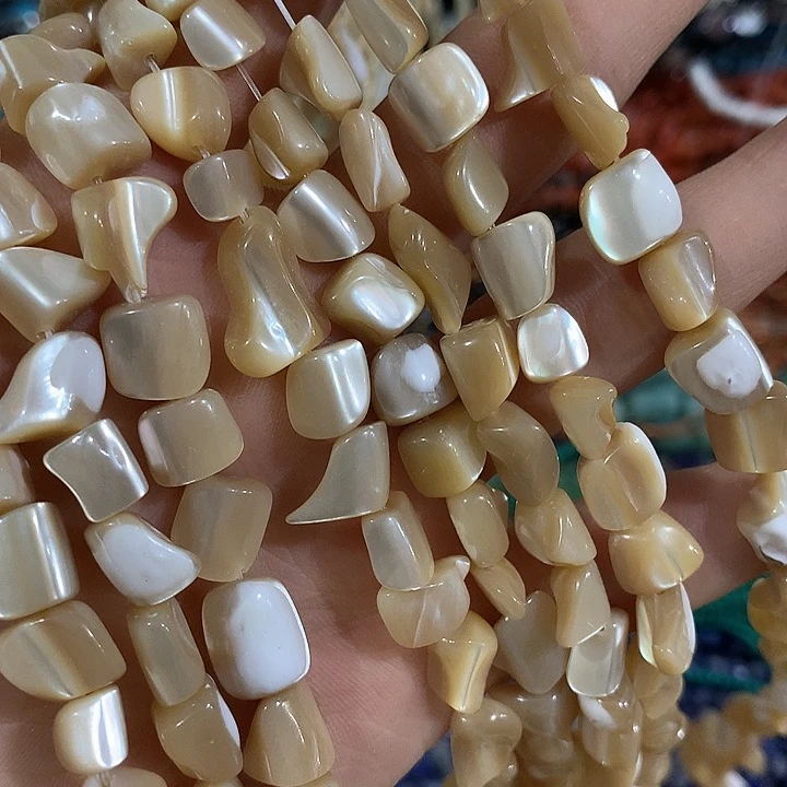 一条咖色马蹄螺随行