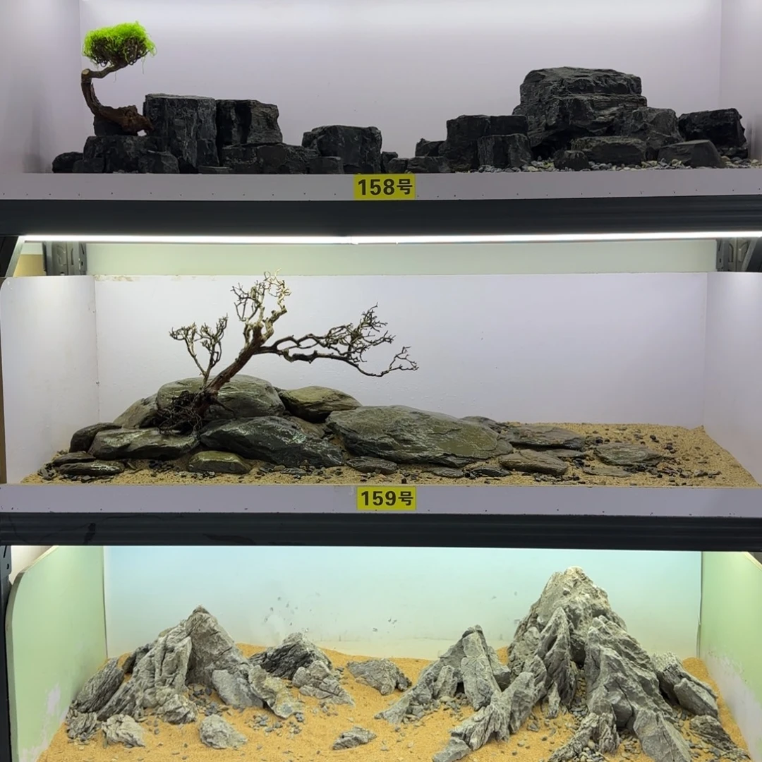 疯景秀1.2米左右可用