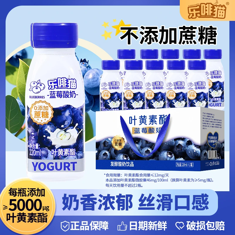 营养早餐叶黄素酯蓝莓酸奶饮品精选进口好奶便携畅享酸甜酸奶饮品