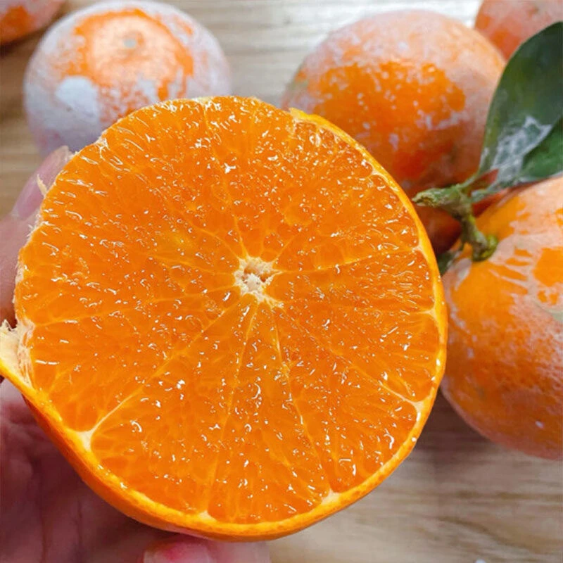 【坏果包赔】广西茂谷柑脏脏橘4.5斤