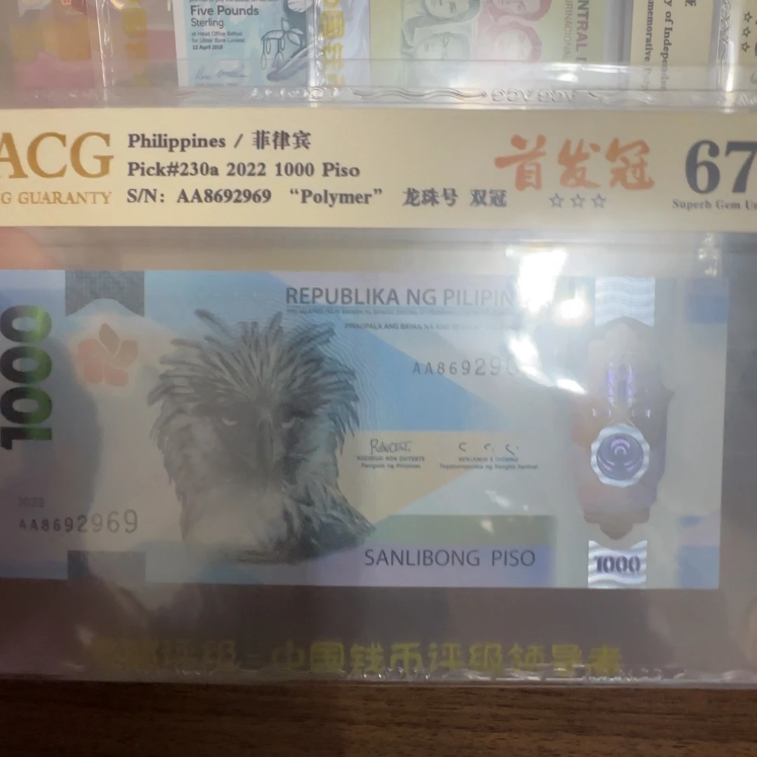 稻***谷2024年菲律宾1000