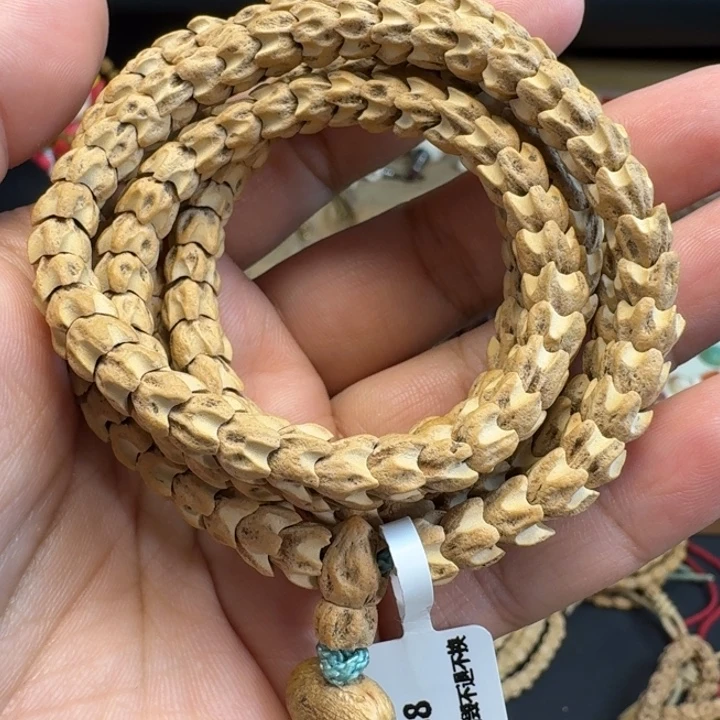 明***山菩提籽类龙爪108好看