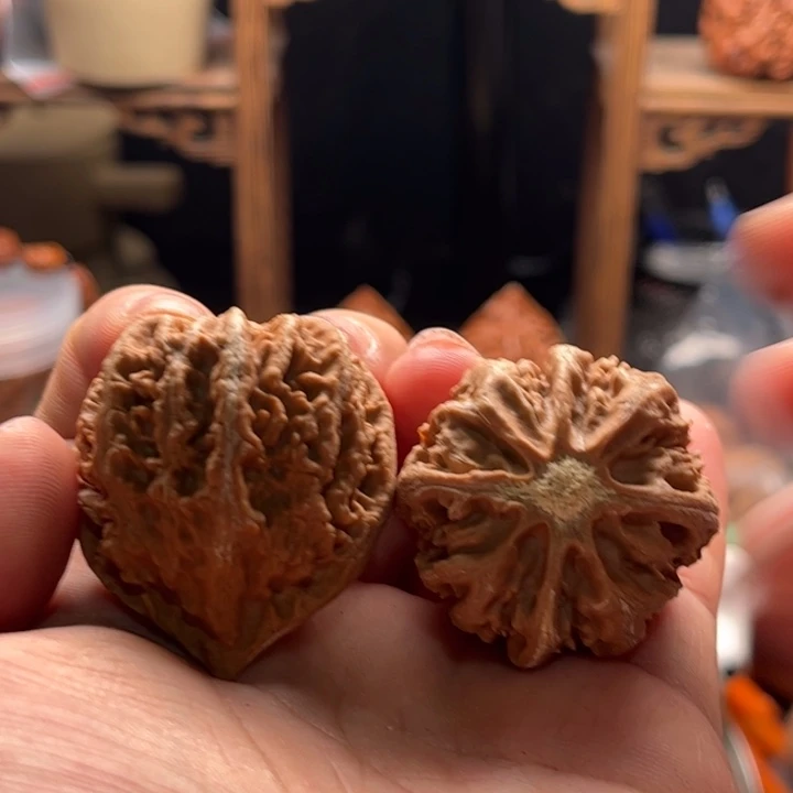 文玩核桃把件楸大胖106