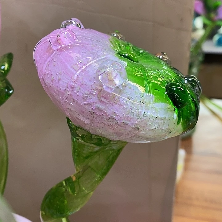 夜光花高45厘米宽5厘米