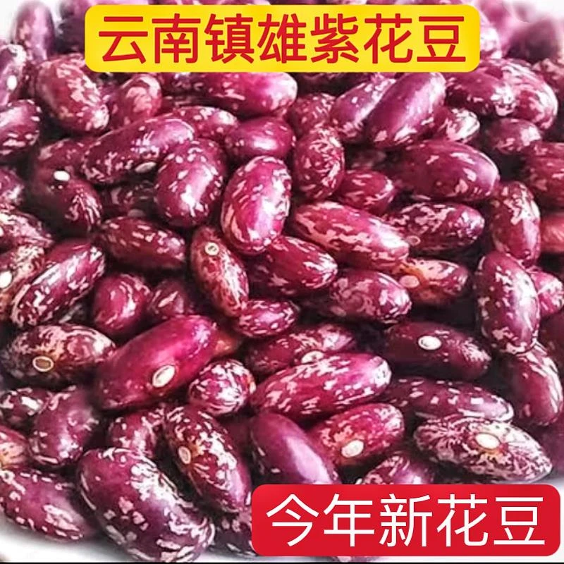 云南特产农家干货新红豆5斤镇雄红豆酸汤四季豆紫花豆酸菜豆米