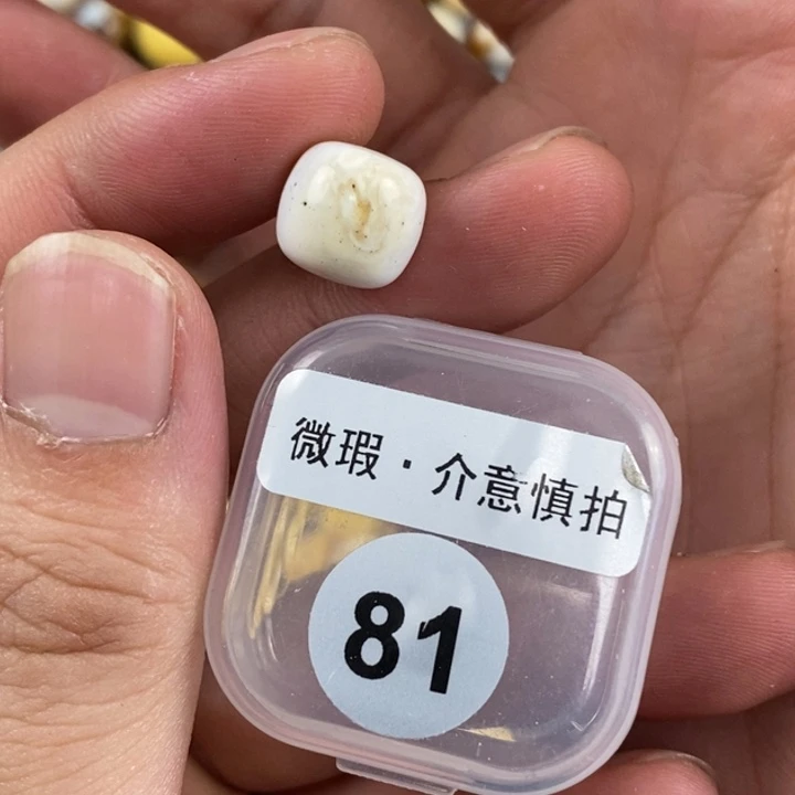 未镶嵌琥珀珠宝奇石