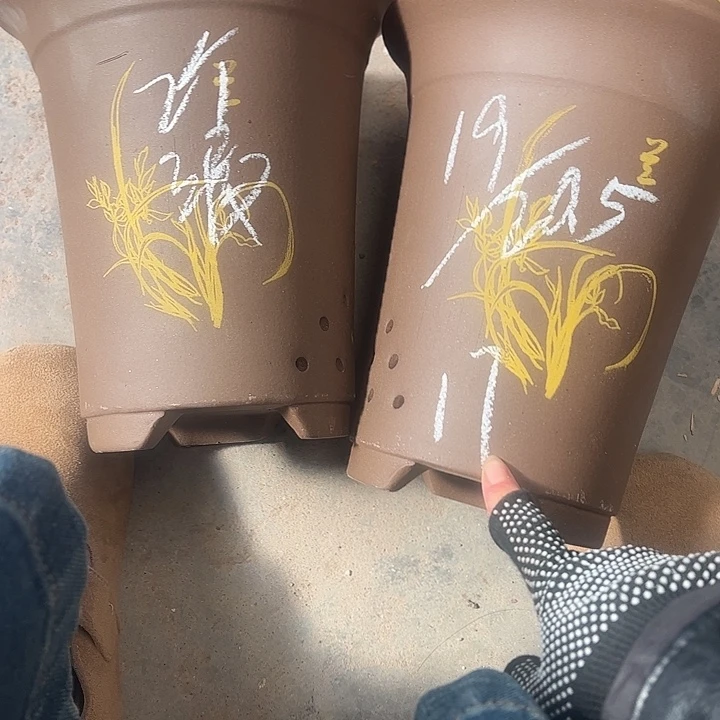 17号………………………………………………………………