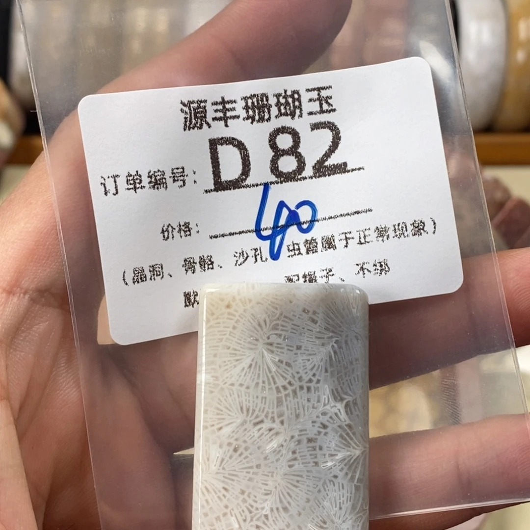 六***月硅化玉未镶嵌颈饰