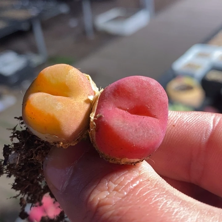 24139一组一组一组