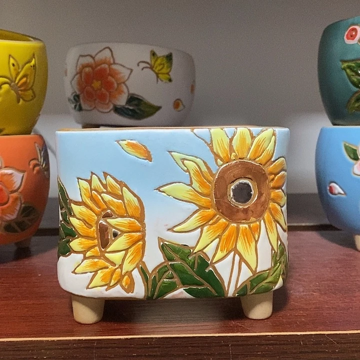 韩式多肉植物花盆