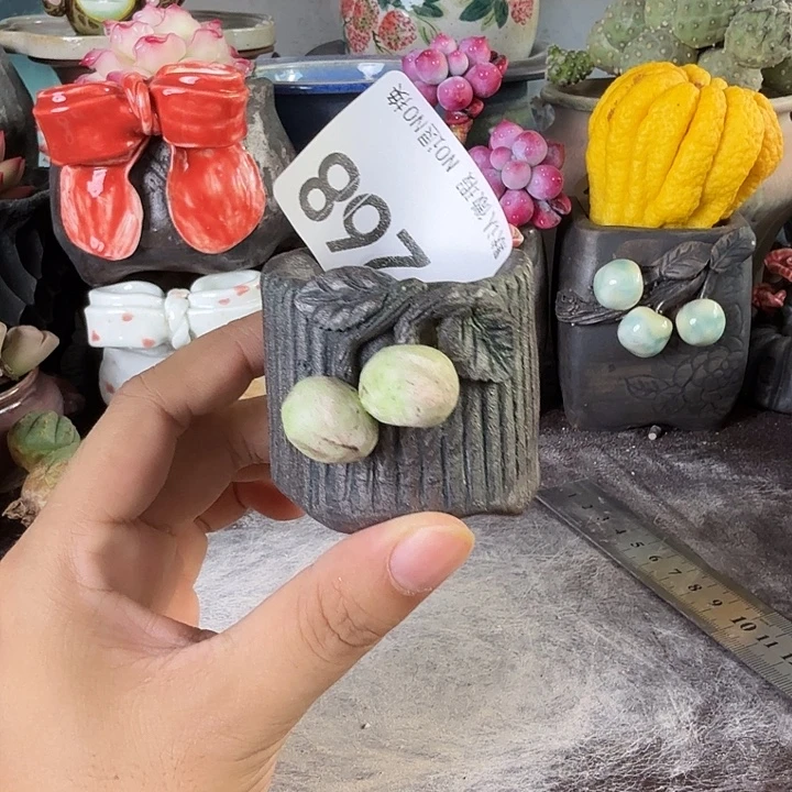 重庆小燕子欢迎大家268