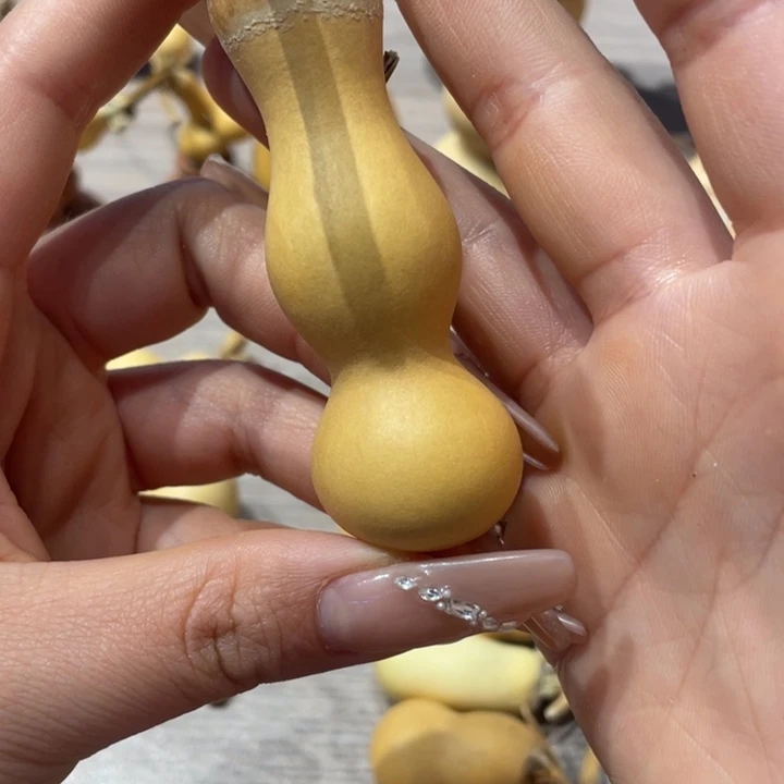 李*铁粗嘴葫芦粗嘴葫芦