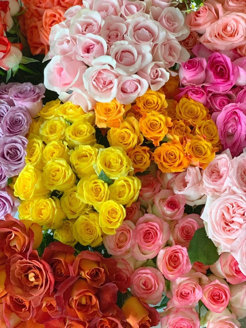 随机20支单头玫瑰+10支多头玫瑰 收到需醒花  揽收无法退