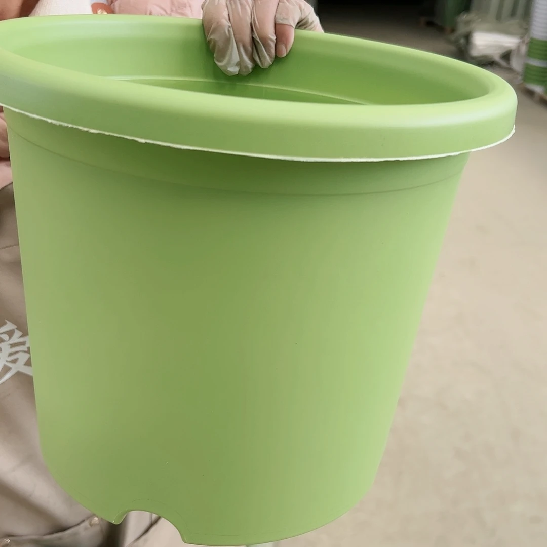 树脂四季5#果绿色6个无托