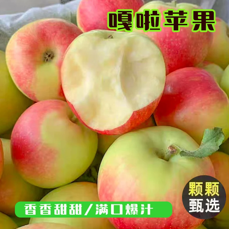 当季新鲜脆甜多汁嘎啦苹果现摘现发整箱包邮