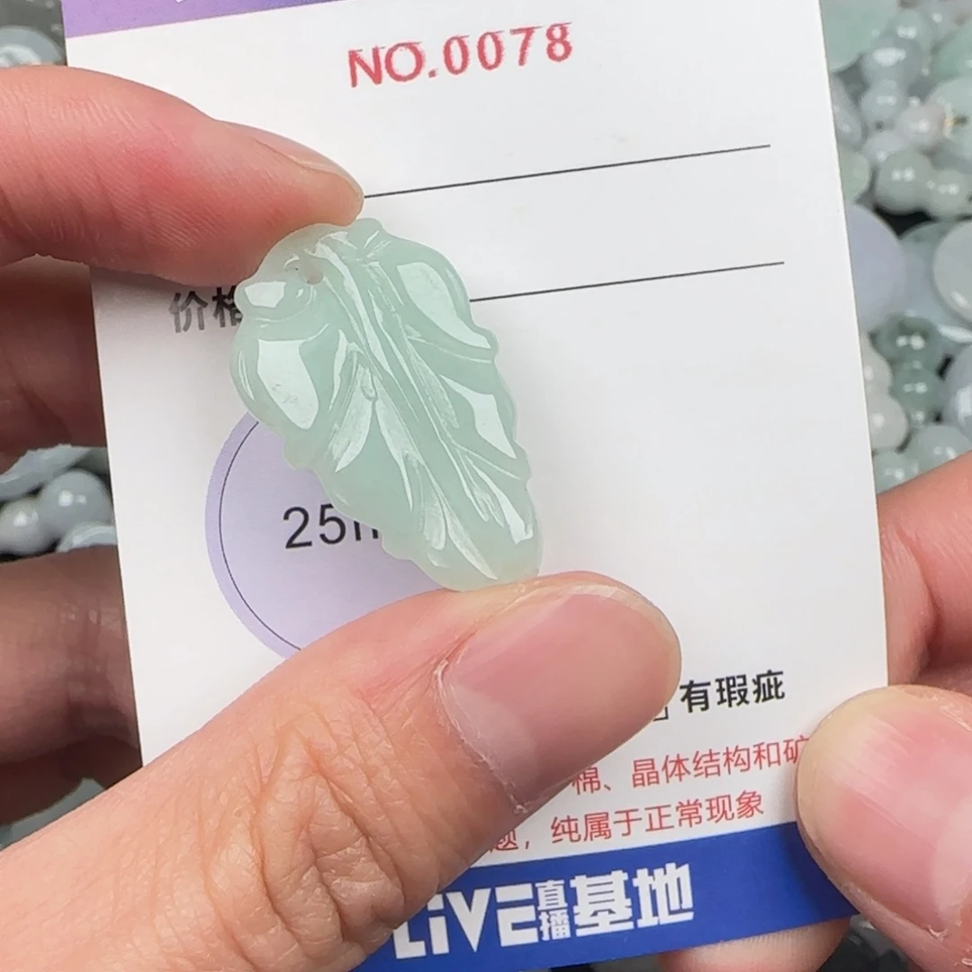 翡翠未镶嵌颈饰78