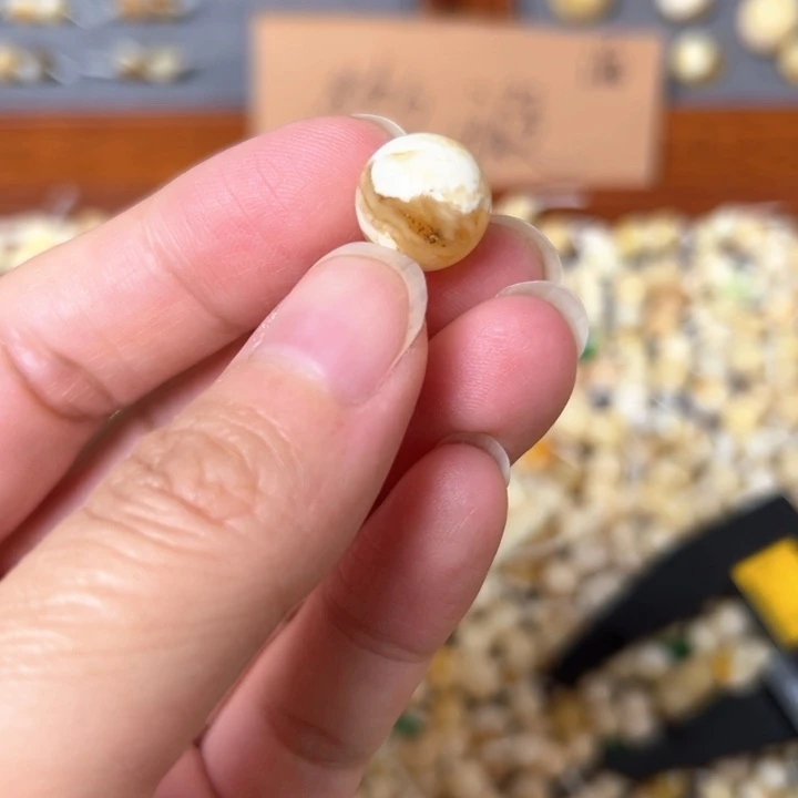 蜜蜡未镶嵌裸石12mm一个