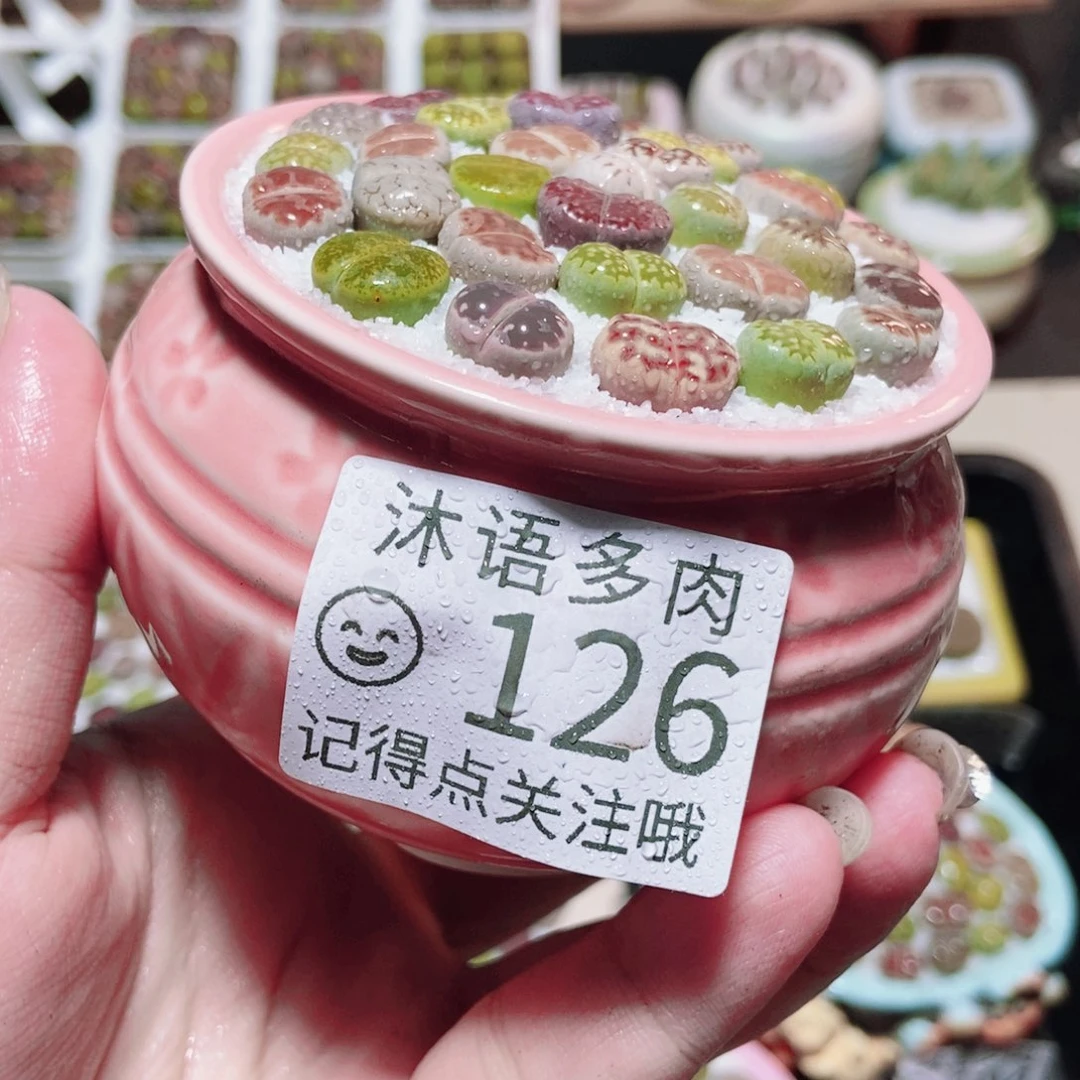 一物一拍所见即所得126