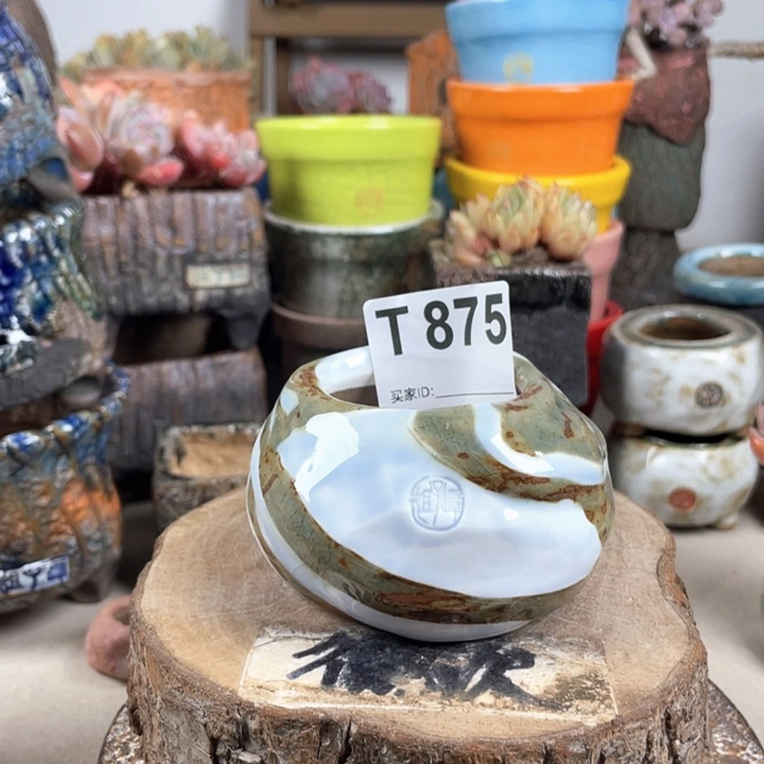 紫砂花盆开播福利 陶瓷花盆 默认微次