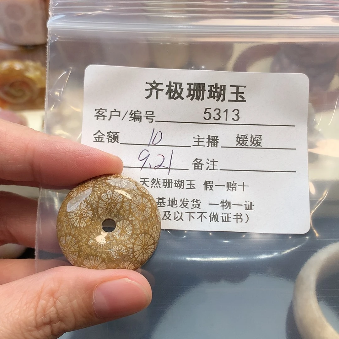 颈饰未镶嵌硅化珊瑚（珊瑚玉）乐*莹