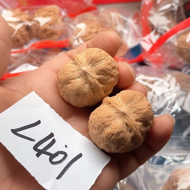 文玩核桃把件元宝