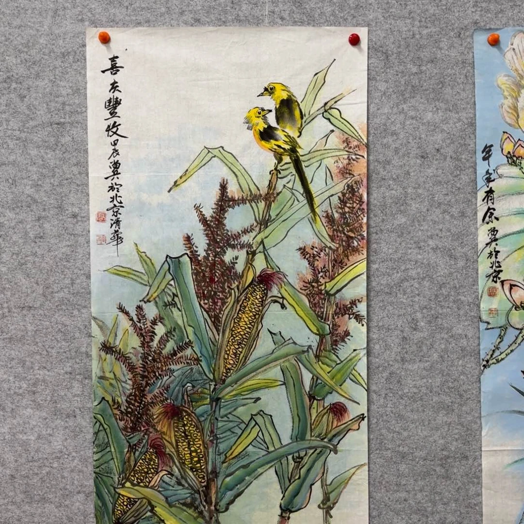 国画花鸟等多种鸟类和