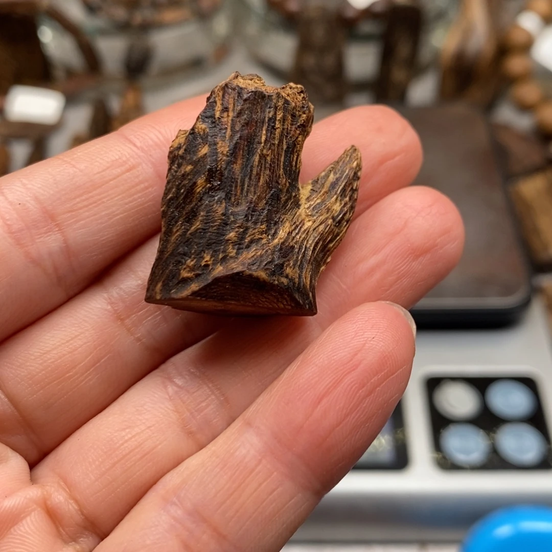 沉香沉香碎屑达拉干九分树头瘤疤树心料