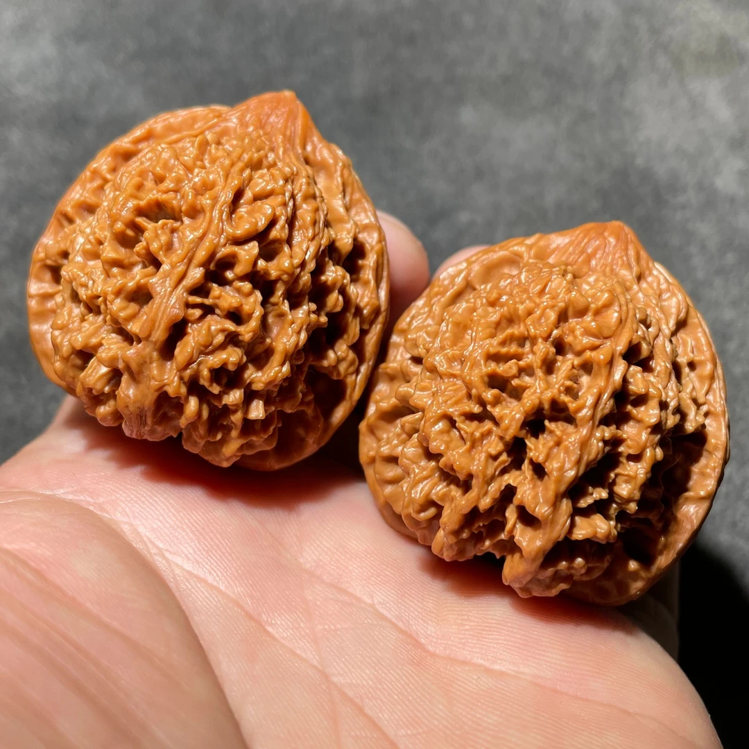 筋山地果文玩核桃教科书级