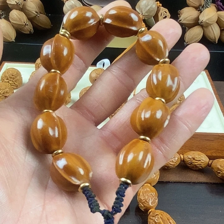 橄榄核手串/手链鲨鱼呗