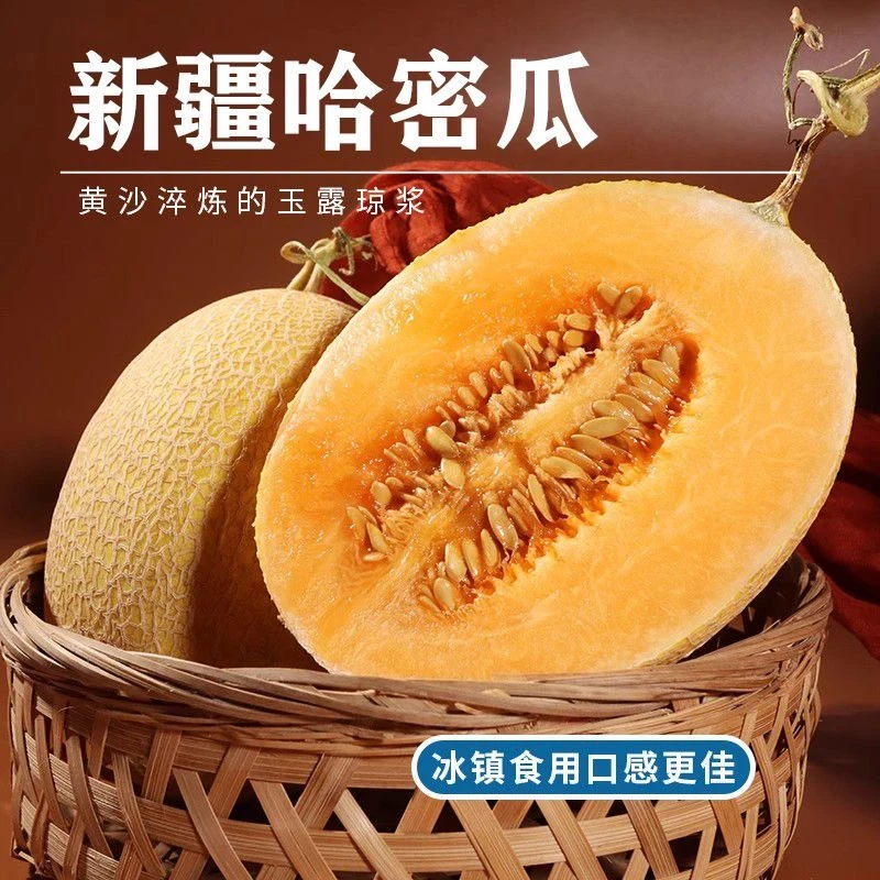 新疆直发金色年华哈密瓜当季水果 包邮爽口多汁脆甜