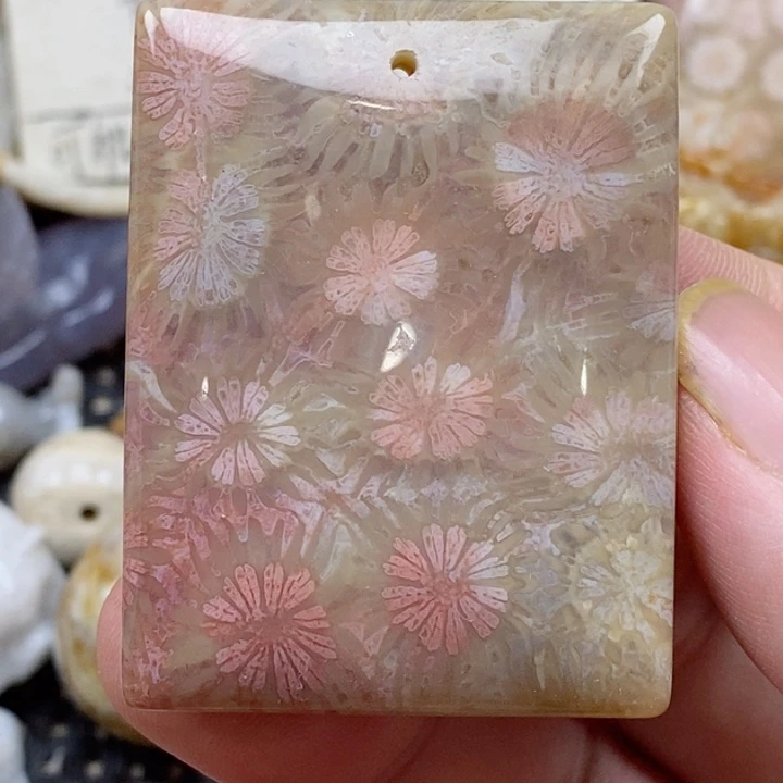颈饰未镶嵌硅化珊瑚(珊瑚玉)