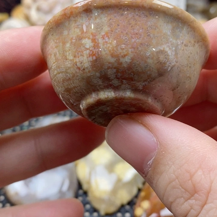 硅化珊瑚（珊瑚玉）颈饰未镶嵌