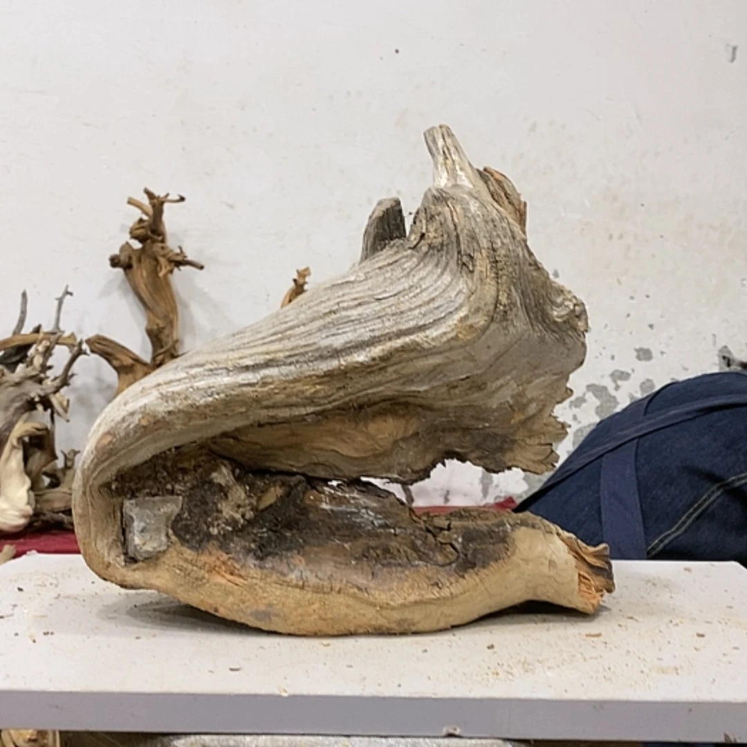 【闪购商品】柏木古**香我们都是好孩子