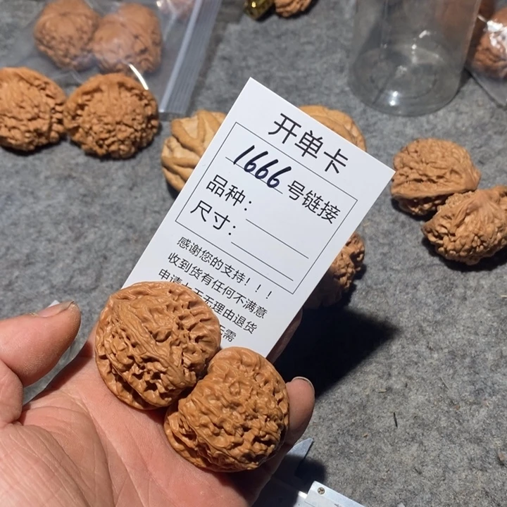 文玩核桃把件1666和咯摸摸哦哦哦