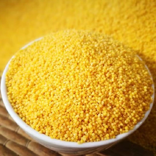 2斤大黄米 农家自产五谷杂粮