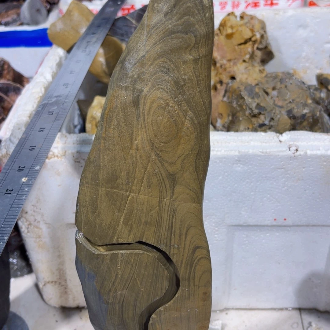 顺****！附石盆景一物一拍