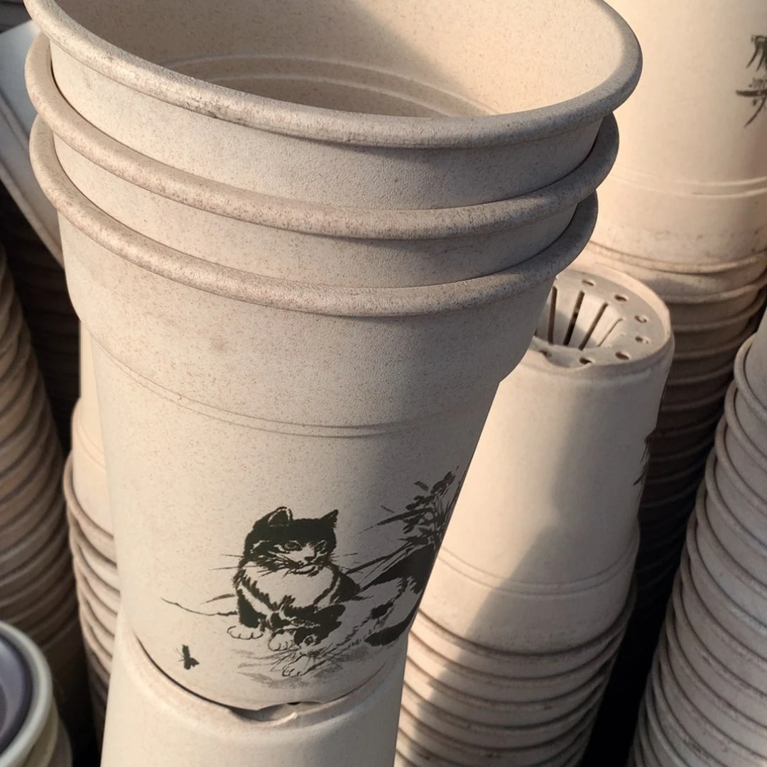 红陶2猫1兰花带拖瑕疵