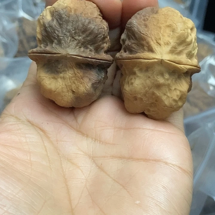 文玩核桃把件云南铁核桃基地66