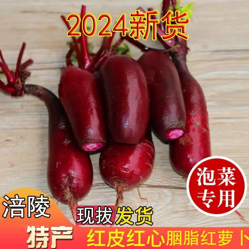 涪陵特产新鲜胭脂萝卜红皮红心泡菜专用