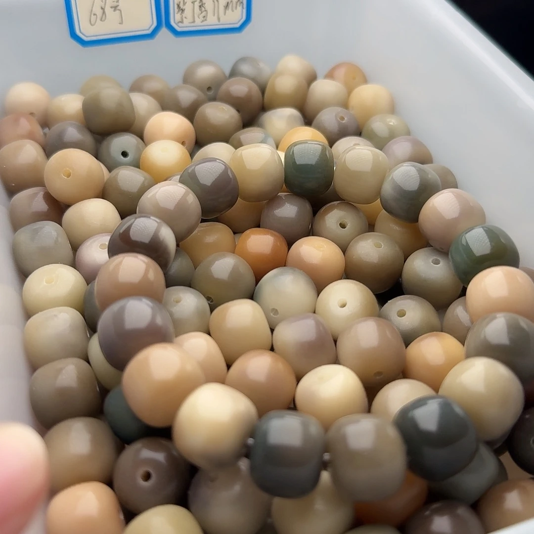 吊坠菩提根/象牙果20颗巫山14桶