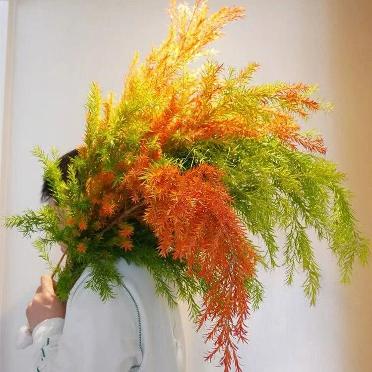 顺丰包邮 千层金香柳高颜值鲜花可做干花用于客厅装饰